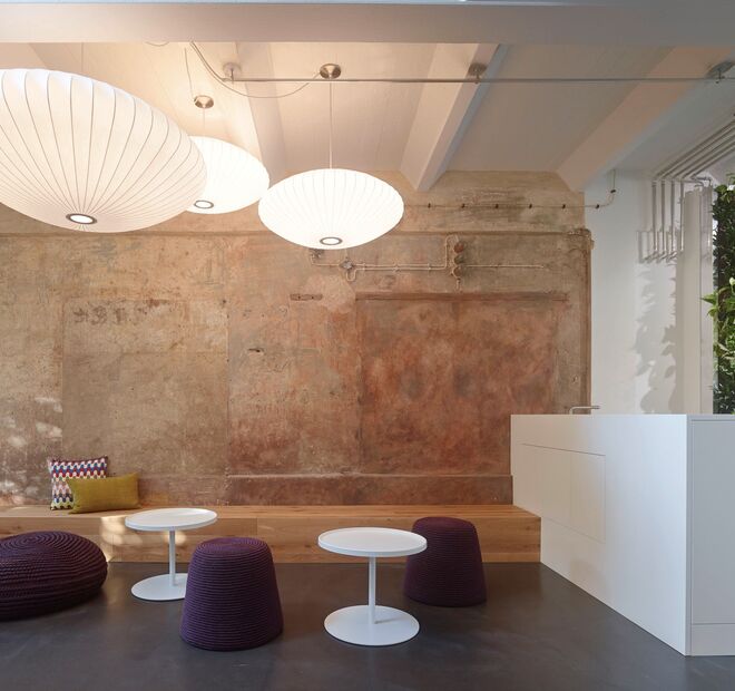 Friedrich / Partner